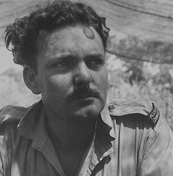 Dalgarno 1943 (by Dupain?) camoufleur 350